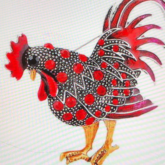 Jewelry - Brooch Pin